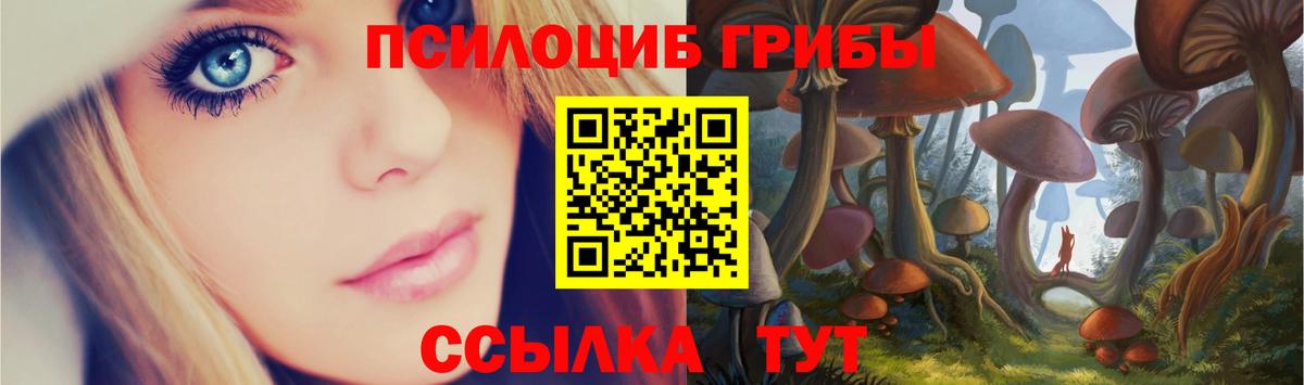 Псилоцибиновые грибы Psilocybe  Вход с VPN  Галлюциногенные грибы прущие грибы  Калач-на-Дону 